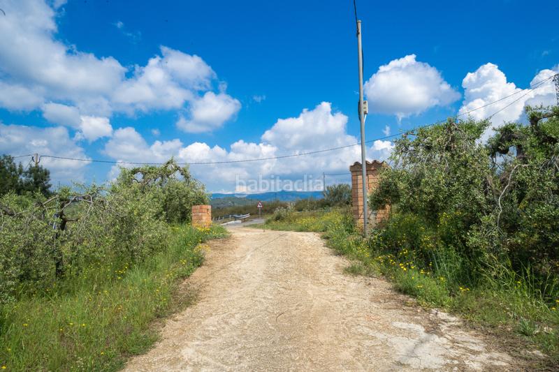 Foto e4264bad-1e3f-4495-b225-7a1168a11630. Masía finca rústica en maspujols en Riudoms