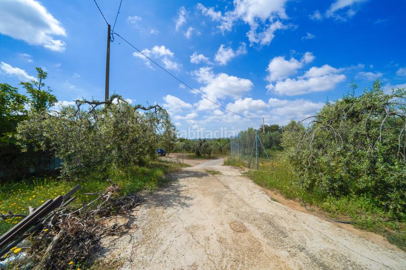 Foto f59049f9-e639-4fb7-baaf-1235c8e2435f. Masía finca rústica en maspujols en Riudoms