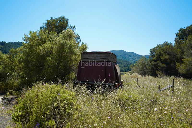 Foto 5539864e-f000-4a5e-9446-4355dc6fd755. Chalet magnífica finca con chalet y nave en Riudecols