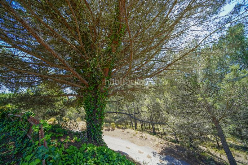 Foto c3bf604e-3fb7-4ffa-9ec7-2a1ff227d105. Chalet magnífica finca con chalet y nave en Riudecols