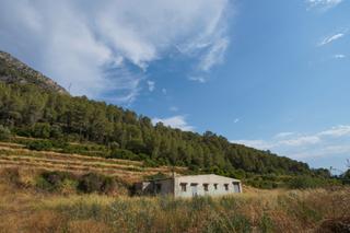 Rural plot in Benifallet. Finca en benifallet