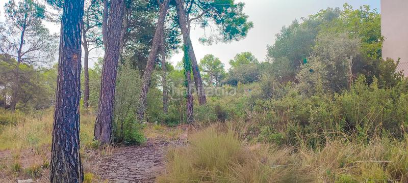 Foto 0f1b105d-e227-4baf-9a18-2505893d5f67. Wohngrundstück in Sant Vicenç de Castellet