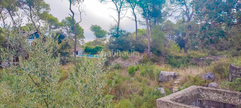 Foto 195e8a13-0a32-45e5-9975-d29ec5beb7c3. Wohngrundstück in Sant Vicenç de Castellet