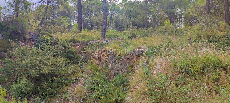 Foto 9fb83486-3bff-4a71-856f-896423bd4c79. Wohngrundstück in Sant Vicenç de Castellet