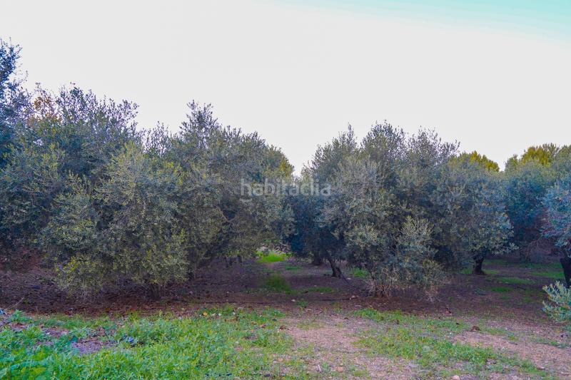 Foto 74ccde1f-da86-4ec5-a664-25bd57acc459. Chalet with heating parking pool in Vinyols i els Arcs