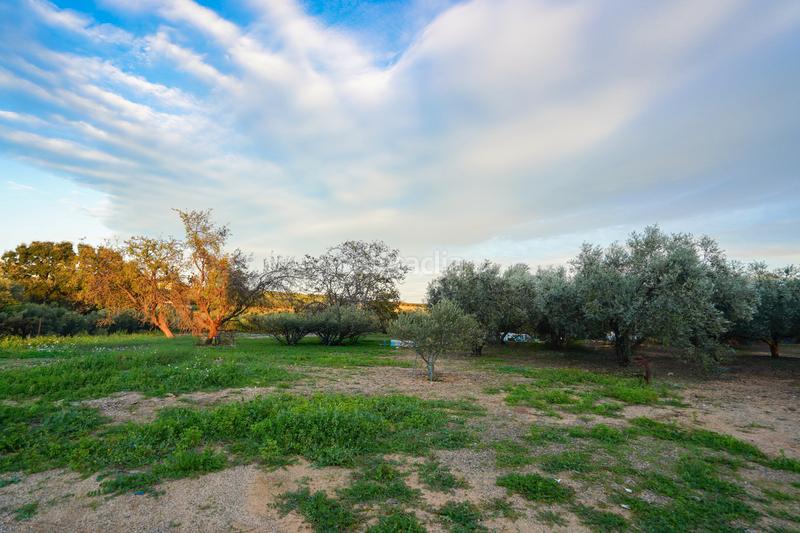 Foto e237f679-011d-4e47-adbf-d87b3e8e7c35. Chalet with heating parking pool in Vinyols i els Arcs