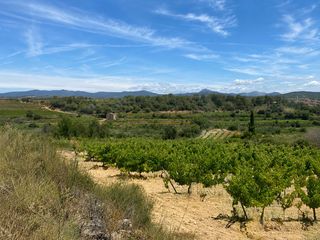 Rural plot in N/a. Finca rústica de 35.490 m² con viñedo y olivar en vilabella (tar