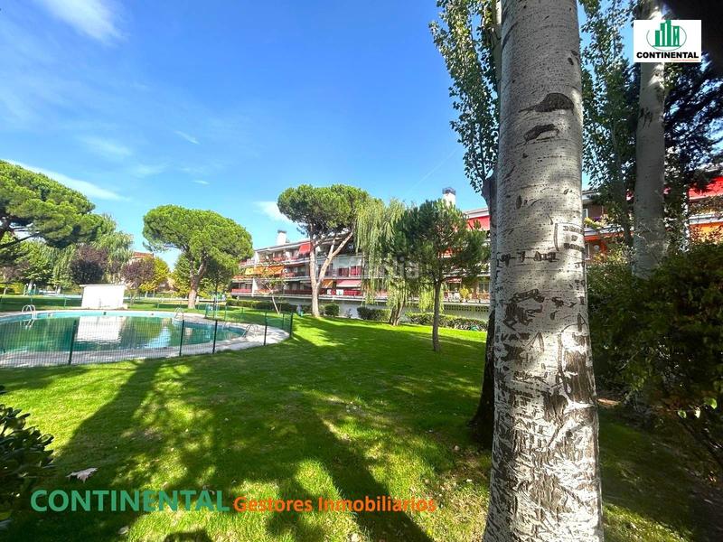 Foto e91f13db-cadd-4d02-8d38-182dcec5f260. Dúplex amb aparcament piscina a Los Negrales Collado Villalba