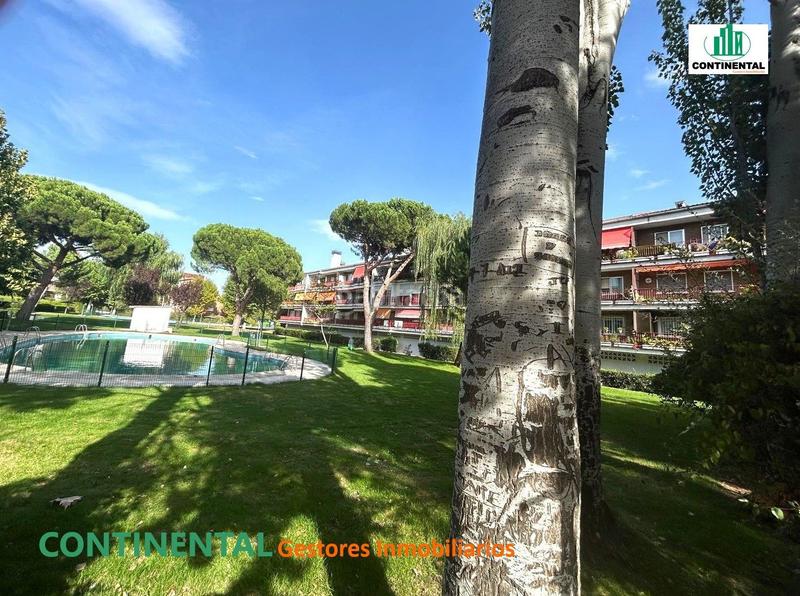 Foto 7317b8aa-2715-43f4-9af7-15479c6e47ff. Zweistöckige wohnung mit parking pool in Los Negrales Collado Villalba