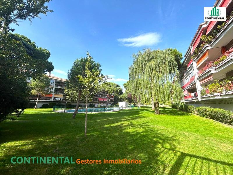 Foto f4cbcd42-7938-4e8b-8344-59cea363f6f8. Zweistöckige wohnung mit parking pool in Los Negrales Collado Villalba