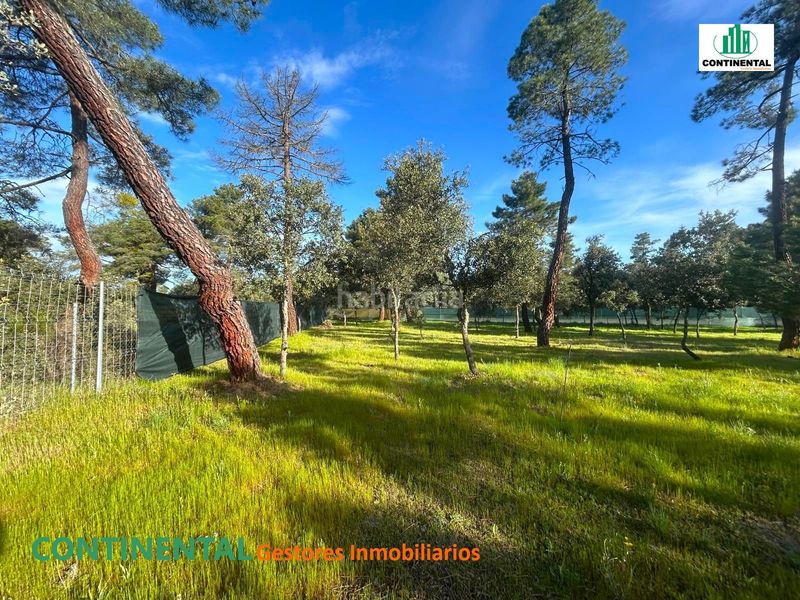 Foto aef8c343-7650-42d4-a9fc-fe3fc3d1556a. Terreno residencial en Marugán