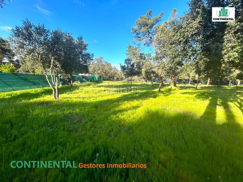 Foto b996221e-8fe3-4d72-a67e-830b059989d1. Terreno residencial en Marugán
