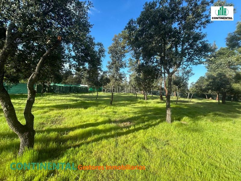 Foto be14aa88-eee8-4f1e-bf0a-d8368a0d9b5d. Terreno residencial en Marugán