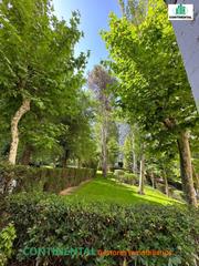 Business premise  Camarena