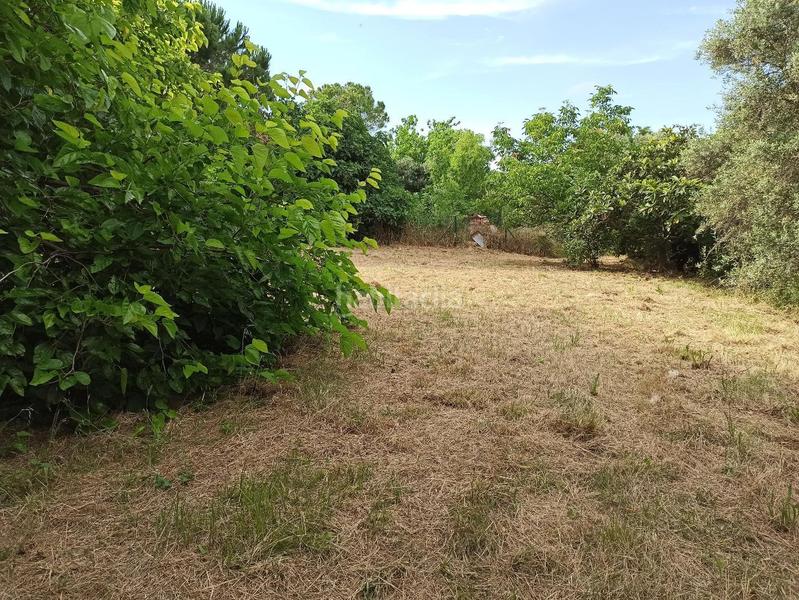 Foto 1b5c9429-7f79-4728-83b4-a04d6d0679ab. Residential plot in Santa Eulàlia de Ronçana