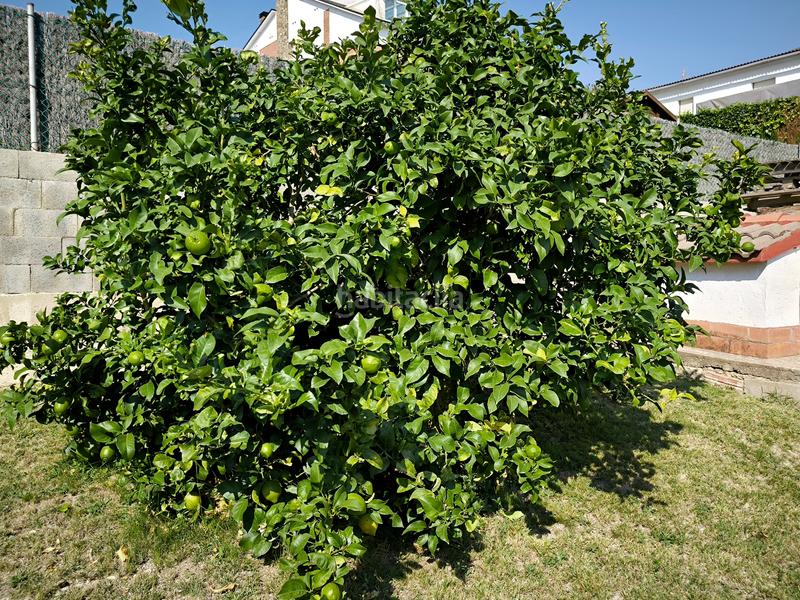 Foto 9804fe03-e653-4d49-b907-ab134aa03713. Haus mit kamin heizung parking in Lliçà d´Amunt