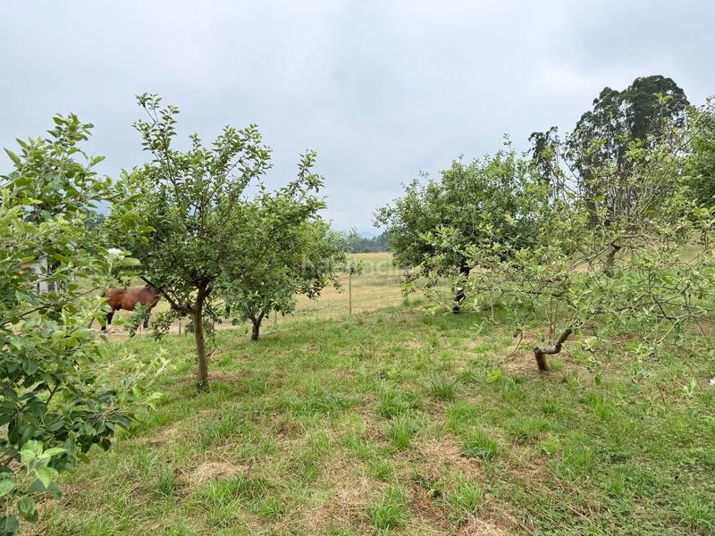 Foto 90f26d5f-5195-4c92-8cbb-367e0493e9eb. Terrain résidentiel dans canaledo - bacoi dans Alfoz