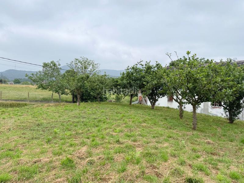 Foto b1f70888-21d8-4908-8845-cb73a3aef765. Terrain résidentiel dans canaledo - bacoi dans Alfoz