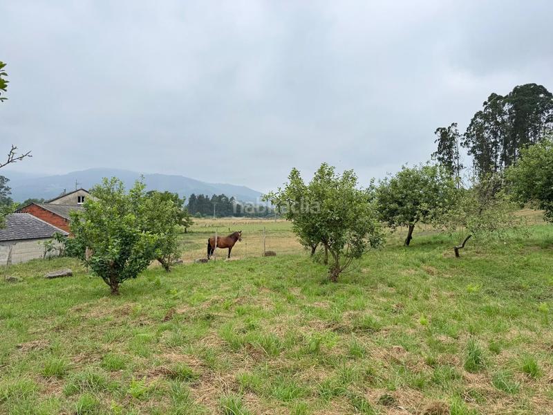 Foto c824c97d-6b8c-4427-adf7-526cdfe5b259. Terrain résidentiel dans canaledo - bacoi dans Alfoz