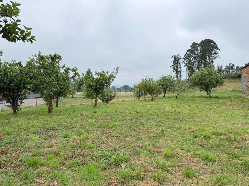 Foto de4f362e-0b30-4e66-83ee-abc876cf9ce3. Terrain résidentiel dans canaledo - bacoi dans Alfoz