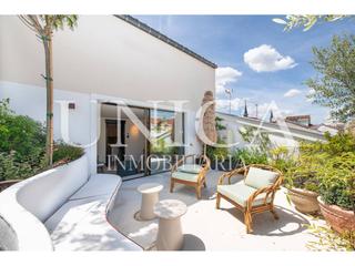 tic  Mayor. tico con reforma de autor en pera vdeo