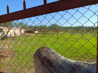 Rural plot in N/a