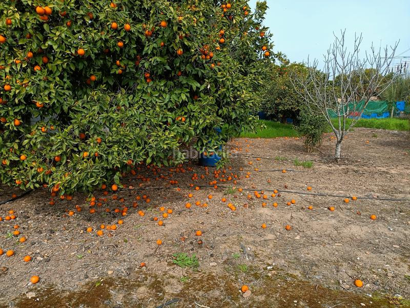 Foto 897defd1-0b04-48ea-8b00-c6ec9d531300. Chalet en casillas 3 en El Higuerón Córdoba