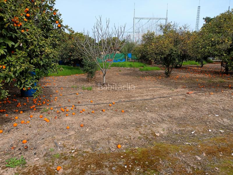 Foto 3eb851dd-0f72-44c9-805a-2c246d8047d4. Chalet dans casillas 3 dans El Higuerón Córdoba