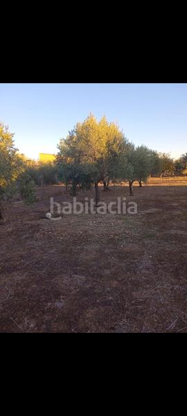 Foto 912252ff-b615-4967-aa7d-711e19d17b3f. Casa vendo parcela con casa en Carlota (La)