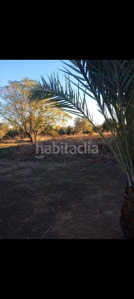 Foto c13e4bd5-7df6-4f12-b851-063408b9ad24. Casa vendo parcela con casa en Carlota (La)