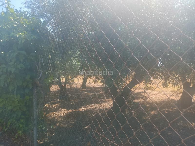 Foto 15a831d8-350f-493f-ac9a-567f7f142485. Finca rústica en Poniente-Norte - Miralbaida - Parque Azahara Córdoba