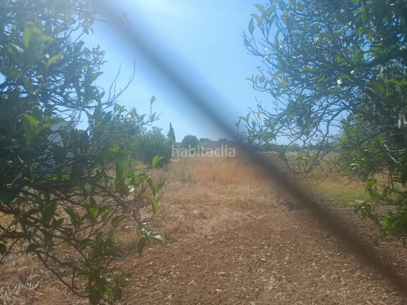 Foto a3f3ff64-f1ce-4d79-a0d5-8d0ba46e3f9f. Finca rústica en Poniente-Norte - Miralbaida - Parque Azahara Córdoba