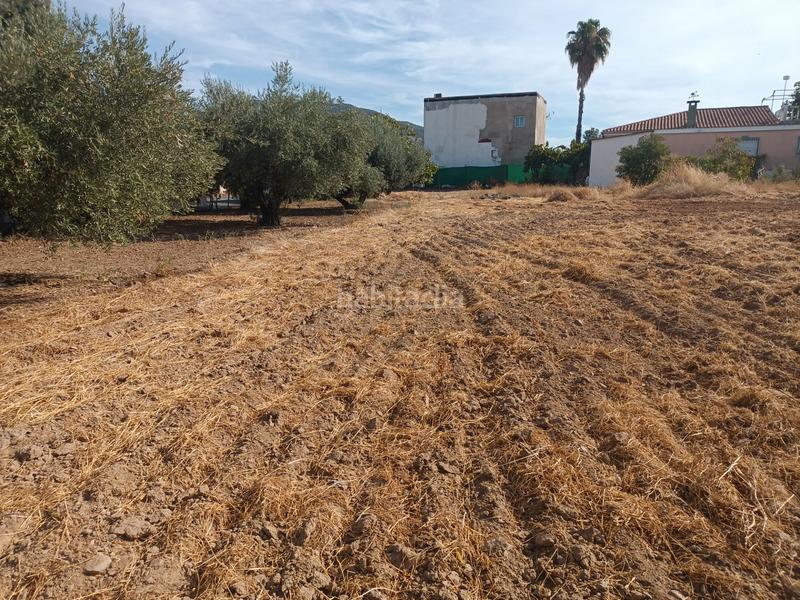 Foto 2853584e-b844-4166-9e4c-80420c954858. Terreno residencial en calle almodóvar del río 10 en Palma del Río