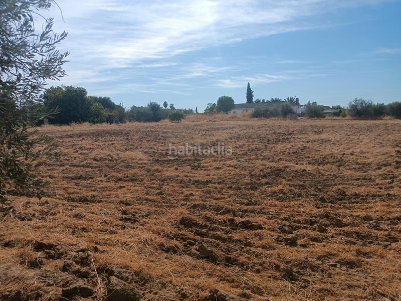Foto 9e22e579-0109-46fb-9d66-5b871f107bb7. Terreno residencial en calle almodóvar del río 10 en Palma del Río