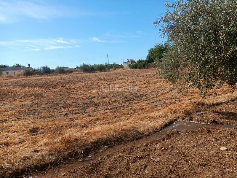 Foto a4c483f6-3dfe-4683-b997-dd3e2ca42360. Terreno residencial en calle almodóvar del río 10 en Palma del Río