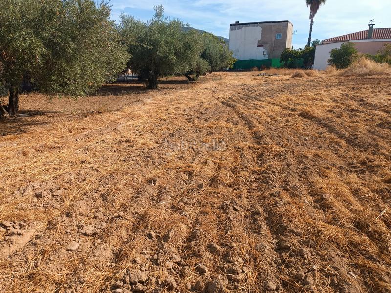 Foto d045ded6-eacb-4c29-982b-03453c660171. Terreno residencial en calle almodóvar del río 10 en Palma del Río