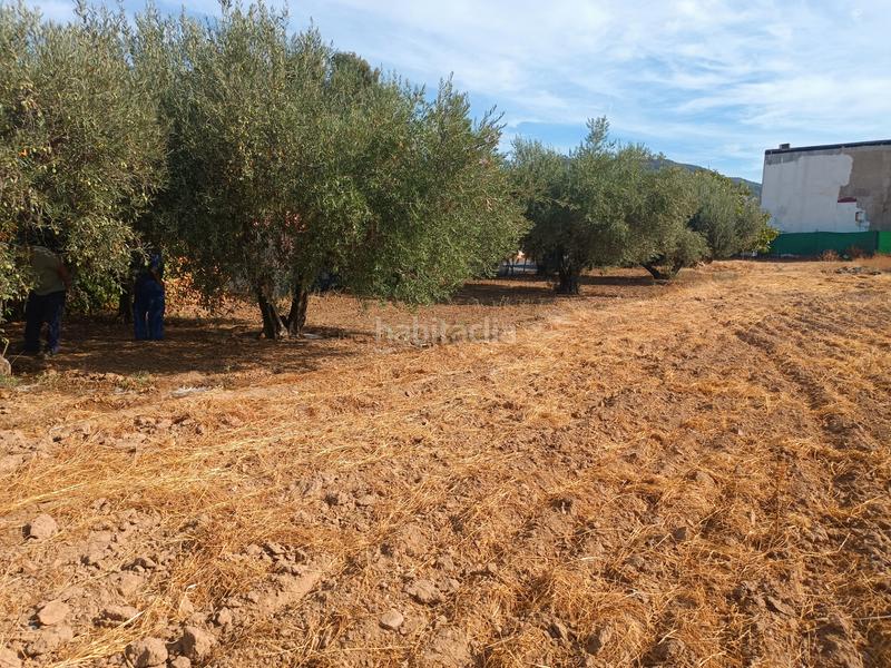 Foto d3f3cc6b-b143-46ec-982f-3bcd15419156. Terreno residencial en calle almodóvar del río 10 en Palma del Río