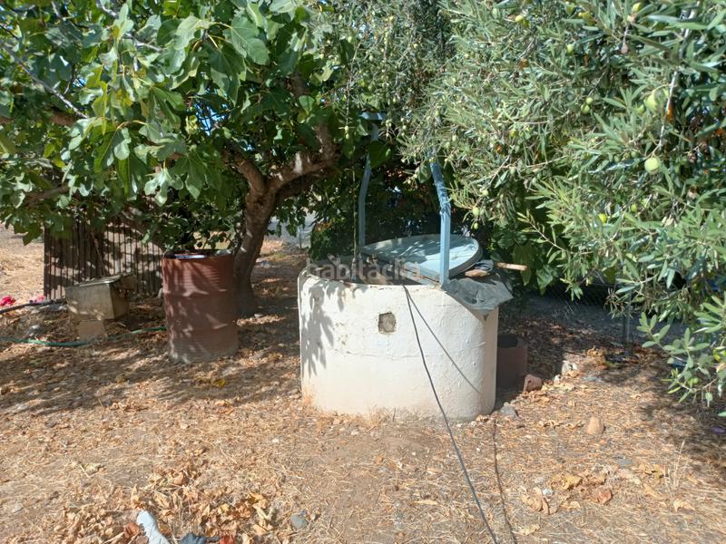 Foto d707e481-905c-4a8c-b91a-3e55bf6d74fa. Terreno residencial en calle almodóvar del río 10 en Palma del Río