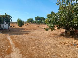 Terrain résidentiel à Calle Almodóvar del Río 10