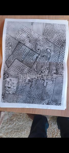 Foto ff59c917-814f-4758-b448-7c5be93d42f4. Finca rústica a San Francisco Lucena