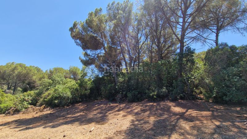 Foto 4048f240-3e52-4621-b33b-d04c0cca5972. Xalet amb xemeneia aparcament piscina a Las Jaras Córdoba