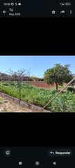Finca rústica a El Higuerón