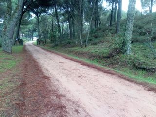Terreny residencial a Las Jaras