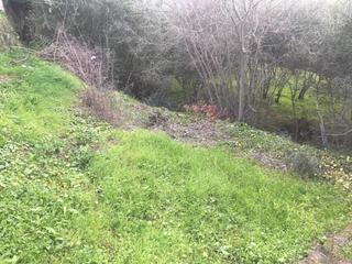 Finca rústica a Calle cuevas bajas 51. Vendo parcela