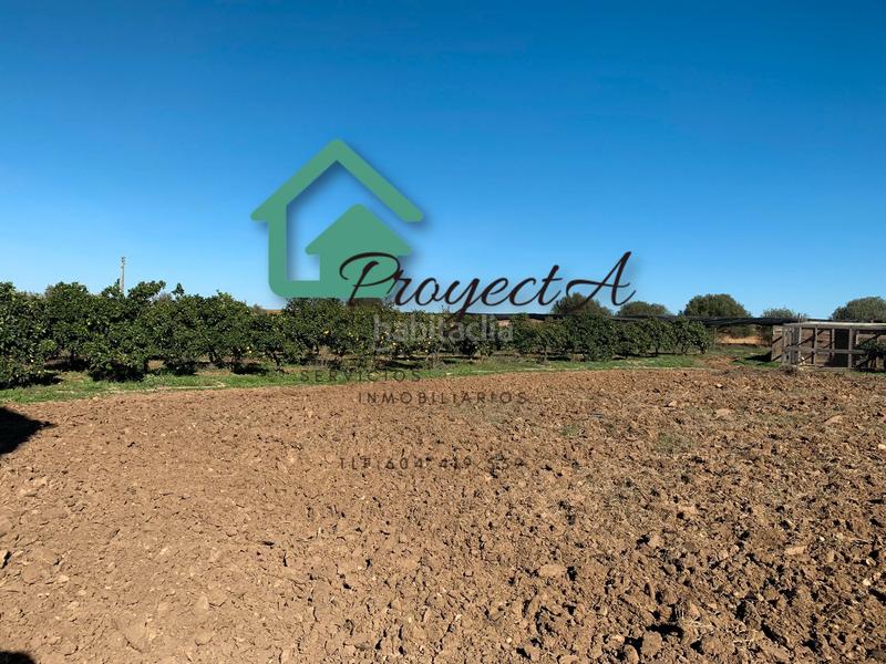 Foto 6db7efd4-984e-4c85-91f0-b43eca29e585. Fondo rustico in La Orden Huelva