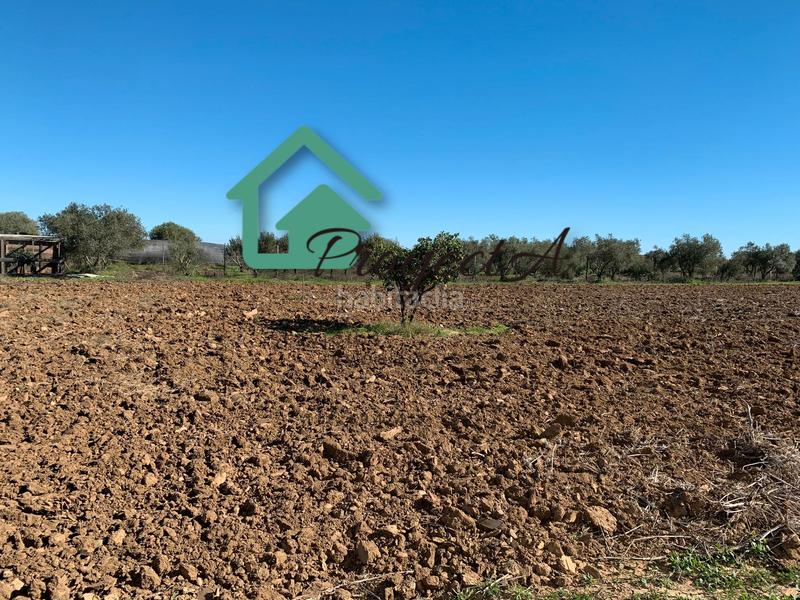 Foto 7c5f4d6d-0292-4c12-879e-75122b103e85. Fondo rustico in La Orden Huelva