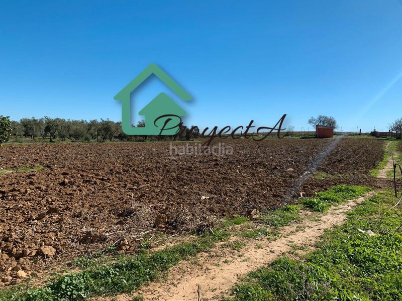 Foto 8578cc10-5665-4e2b-a42f-1f04643497b9. Fondo rustico in La Orden Huelva