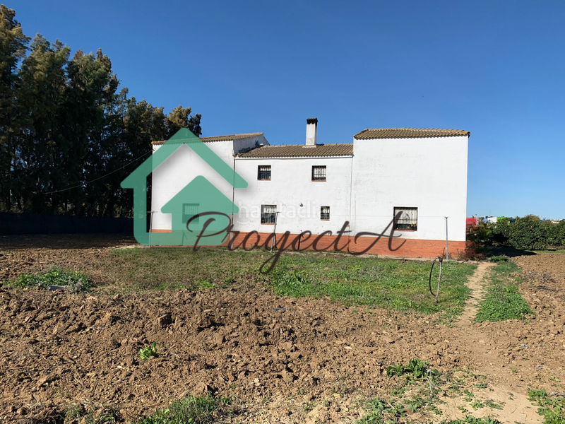 Foto c9a0b2f3-84be-44b2-a45c-4eba333fc483. Fondo rustico in La Orden Huelva