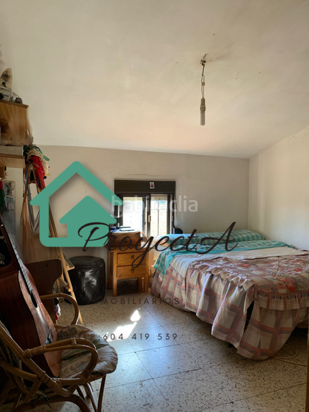 Foto d395c549-a8e8-4fe1-9853-4fb76f7c4ff8. Fondo rustico in La Orden Huelva