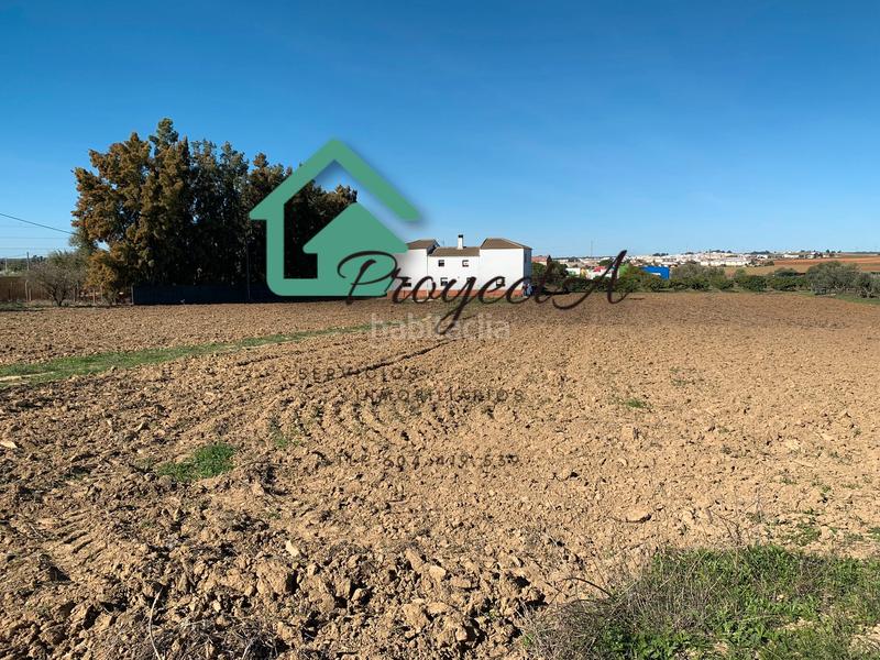 Foto df27a04c-9ad0-468b-b97e-6d45be98735a. Fondo rustico in La Orden Huelva